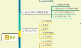 隐士起舞爆料视频大全集,揭秘神秘舞者爆笑瞬间全集