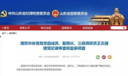 潍坊企业爆料事件最新消息,揭露真相，追踪进展