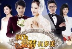 因为爱情有多美电视剧全集在线观看,重温经典爱情故事，感受真挚情感共鸣